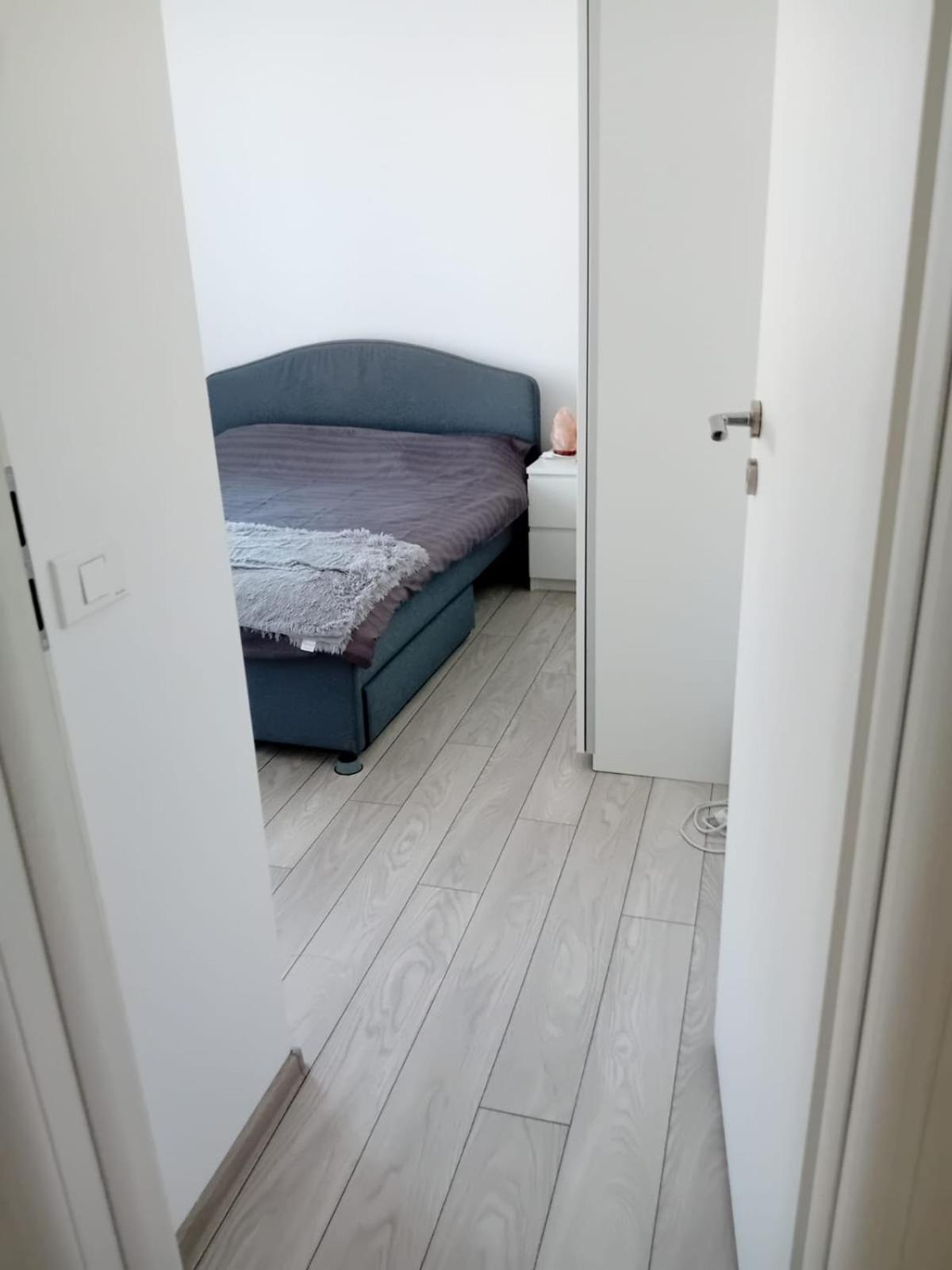 Deluxe 2 Bedroom Apartment With Balcony And Private Parking Bragadiru エクステリア 写真